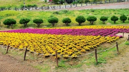 파주시 운정호수공원에 빛 광장 조성