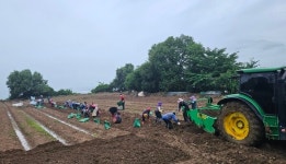 상생 경영 실천 KGC인삼공사, 폭우 피해 인삼 농가 위해 긴급 구매