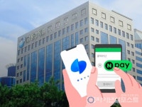 금감원, 네이버페이·토스 현장검사...