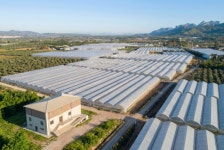 NH농우바이오, 튀르키예법인 새 R&D시설 구축…프리미엄 품목 육종개발 본격화