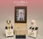 국회 문턱 넘은 펫산업 육성법…보람상조 토털 펫 생태계 구축 탄력