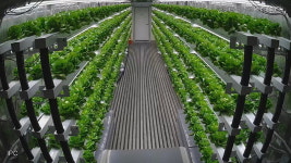 [바스리] 21세기 문익점 프로젝트 이끄는 엔씽