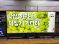 B마트 VS 요마트는 어떻게 다를까?