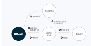 [그게 뭔가요] ‘제2의 티메프사태’로 불리는 루멘페이먼츠 사건