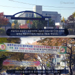 노도강 뛰면 끝물!  부동산시장 진리로 굳어지나?