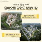 강원도 아파트…3채 중 1채는 외지인이 샀다! 뒤늦게 합류한 원주민에 청약 열기 ‘훨훨’