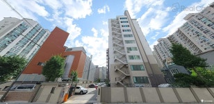 코스모스 사진 1