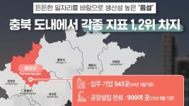 음성 부동산, 미래가치 창창한 이유 들여다 봤더니 선점이 답