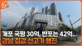 개포 국평 30억 시대… 신고가 속속 강남은 결국 불패