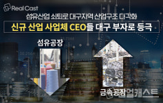 시대 따라 바뀌는 부촌(富村)…대구 부동의 부촌, 수성구 이야기
