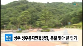 상주 성주봉자연휴양림, 봄철 맞아 큰 인기 