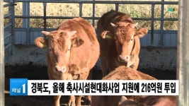 경북도, 올해 축사시설현대화사업 지원에 216억원 투입  