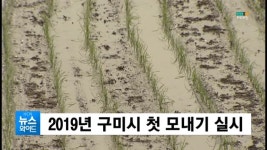 (구미) 2019년 구미시 첫 모내기 실시