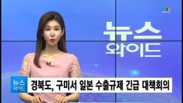 경북도, 구미서 일본 수출규제 긴급 대책회의 