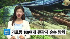 (고령) 대가야역사테마관광지, 가로등 산속 방치... 고령군, 야간개장을 위해 교체했다