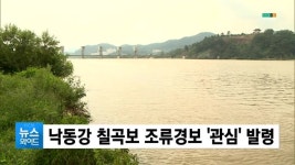 낙동강 칠곡보 조류경보 관심 발령