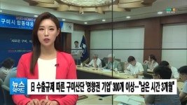 (구미) 日 수출규제 따른 구미산단 영향권 기업 300개 이상…남은 시간 3개월