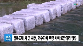 경북도내 시 군 하천, 저수지에 우량 치어 90만마리 방류 