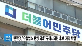민주당, 