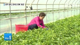 성주 참외, 랜선타고 소비자 품으로