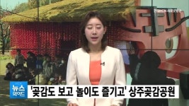 곶감도 보고 놀이도 즐기고 상주곶감공원