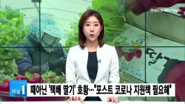 때아닌 택배 딸기 호황…포스트 코로나 지원책 필요해