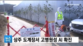 상주 도계장 고병원성 AI 확진