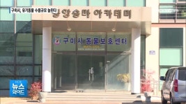 해마다 수백 마리…구미시, 유기동물 수용규모 늘린다