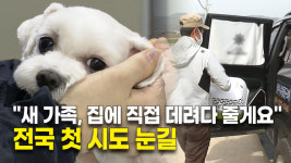 (상주) 새 가족, 집에 직접 데려다 줄게요...전국 첫 시도 눈길