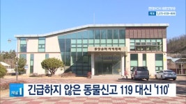 긴급하지 않은 동물신고 119 대신 110