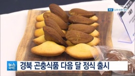 경북 곤충식품 다음 달 정식 출시