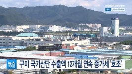 구미 국가산단 수출액 12개월 연속 증가세 호조