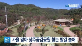 가을 맞아 상주곶감공원 찾는 발길 늘어