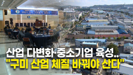 산업 다변화·중소기업 육성..구미 산업 체질 바꿔야 산다