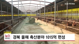 경북 올해 축산분야 1015억 편성