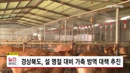 경상북도, 설 명절 대비 가축 방역 대책 추진