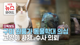 [단독]구미 원룸가 동물학대 의심 고양이 사체..수사 의뢰