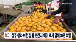 성주 참외·이천 쌀 등 원산지 허위 표시 업체 30곳 적발