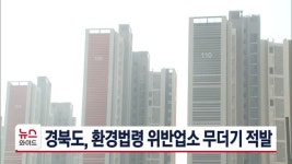 경북도, 환경법령 위반업소 무더기 적발