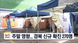 주말 영향.. 경북 신규 확진 270명