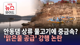 안동댐 상류 물고기에 중금속?..맑은물 공급 강행 논란