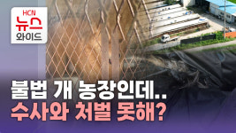 불법 개 농장인데..수사와 처벌 못해?