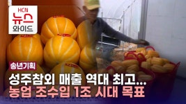 [송년기획] 성주참외 매출 역대 최고...농업 조수입 1조 시대 목표