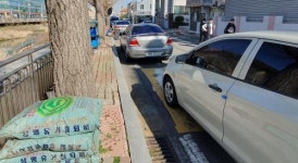 (현장출동) - 동구 지원2동 보행로 가보니