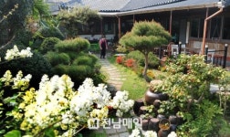 [이색카페] 목포 순이의 마당