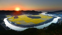 황금들녘 영광 법성포 물돌이