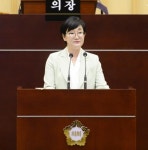 광주 서구의회 김수영 의원 뉴딜사업 좌초 피해 주민들이 받았다