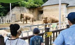 우치동물원 늙고 볼만한 것도 없다