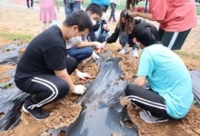 함평영화학교 텃밭 가꾸기 행사