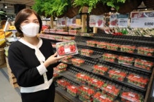 롯데마트 월드컵점 당도높은 설향 딸기 맛보세요